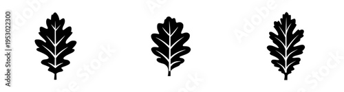 Timeless Vigor: Monochrome Oak Emblem