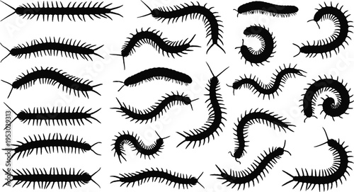 Black centipede silhouettes, millipede icons, creeping poisonous insects, wildlife pest collection, predatory bug element, garden invertebrate vector illustration