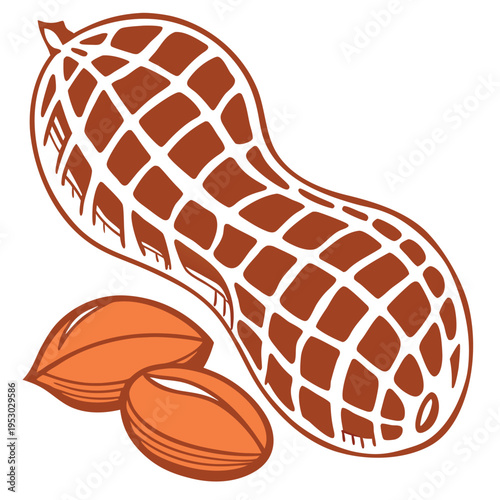 Peanut in shell with loose kernels, stylized illustration