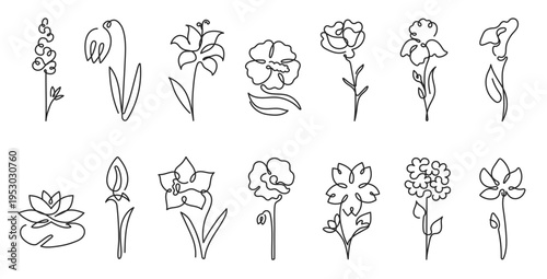Flowers botanical blossom and floral flower rose with lily iris tulip. Lotus daffodil orchid and peony carnation pansy with hydrangea bloom botany nature. Plant flowers petals and garden.