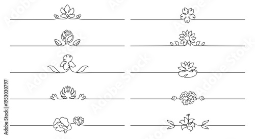 Floral borders separators with one line divider frame for ornament flourish lotus. Rose lily iris with peony hydrangea tulip for flowers horizontal border. Flourishes dividers floral.
