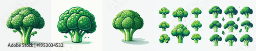Broccoli Vector Illustration Collection