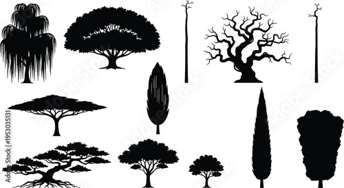Collection of diverse tree silhouettes including willow cypress bonsai and leafless trees isolated on white background for forest landscape nature vector illustration