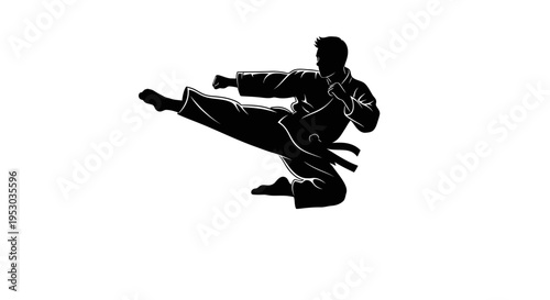 Silhouette of a martial artist performing a high kick against a plain white backdrop. Focus on dynamic movement.