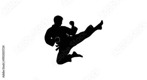 Silhouette of a person performing a martial arts kick