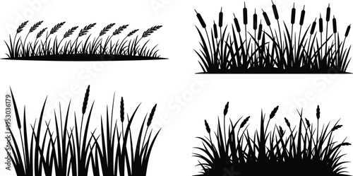 Collection of grass wheat and reed silhouettes isolated on white background for garden landscape nature vector illustration design element border set