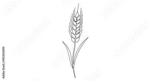 Wheat Grain Ear Agricultural Plant.