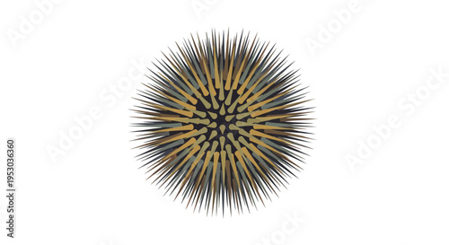 Close up of sea urchin spines.