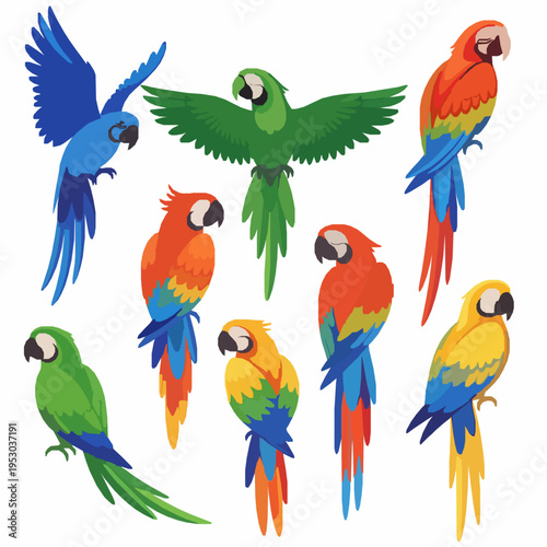 Stylized tropical parrots vector illustration set exotic birds EPS10 isolated on white