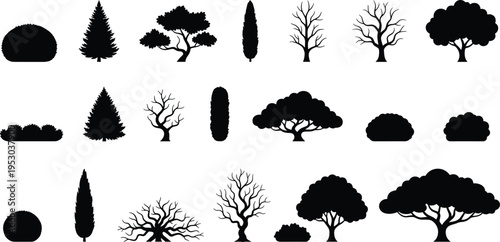 Large collection of tree and bush silhouettes including pine cypress leafless and round trees isolated on white background for landscape nature vector set