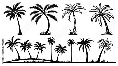 Tropical palm tree silhouettes vector set, island beach vacation and summer paradise graphic