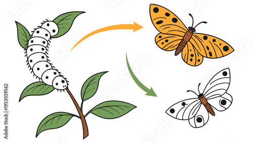 Biological life cycle illustration of a silkworm caterpillar transforming into a silkmoth on green leaves