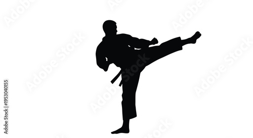 Silhouette of a martial artist performing a dynamic roundhouse kick