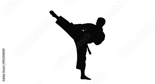 Silhouette of a martial artist performing a dynamic side kick pose
