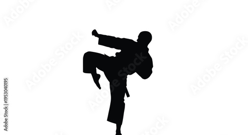 Silhouette of a martial artist performing a dynamic kick against a white background