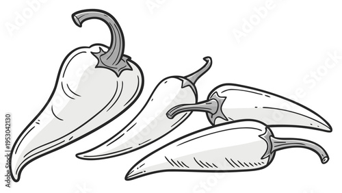 Group of four chili peppers in hand drawn line art style for culinary and spicy food recipe design