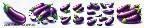 Eggplant Vector Illustration Collection