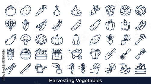 Collection of fresh vegetables and gardening tools in simple line art style