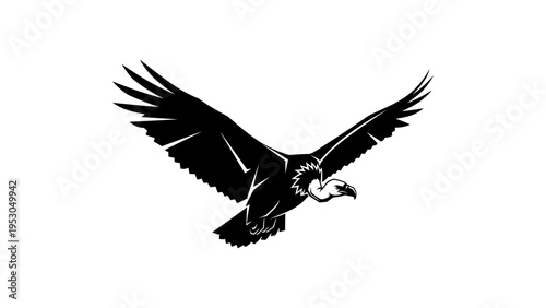 Majestic vulture silhouette in mid-flight with spread wings