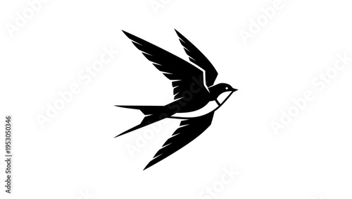 Elegant black silhouette of a flying swallow bird with outstretched wings