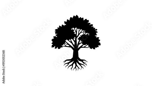 Tree silhouette with roots and leaves on white background