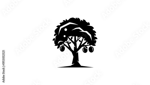 Silhouette fruit tree with branches and leaves isolated on white background