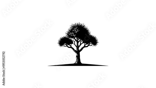 Elegant silhouette of a tree with detailed branches and foliage on white background