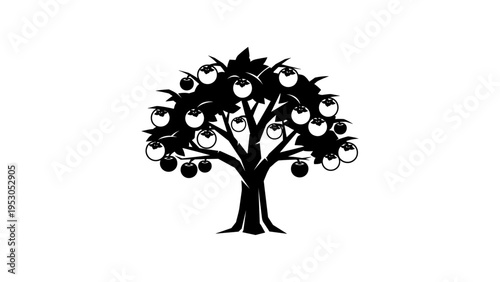 Silhouette apple tree with fruits isolated on white background