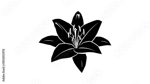 Black silhouette of a lily with bold petals on white background