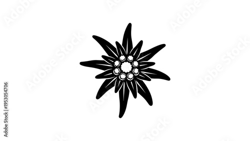Black and white edelweiss silhouette on white background