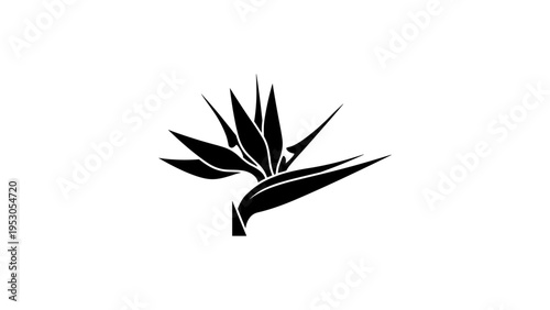 Minimalist black silhouette of bird of paradise plant on white background