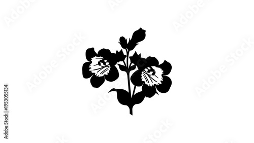 Minimalist silhouette of delicate orchid flowers on white background