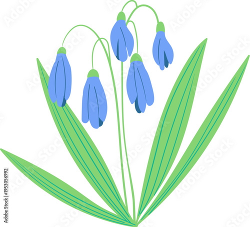 Wildflower Bell Blooms Botanical