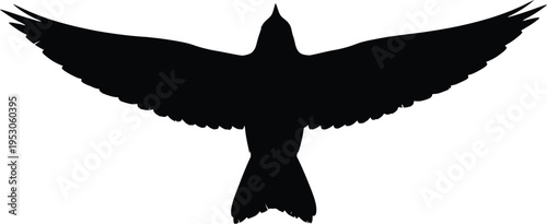 A black silhouette of a bird in flight with wings spread wide against a white background