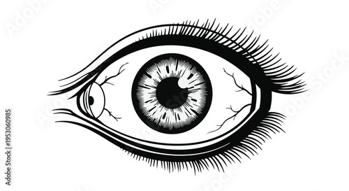 Close-up illustration of a human eye with detailed eyelashes and iris, black and white artwork on white background