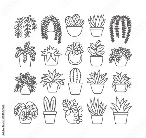 Collection of black and white line potted houseplants and succulents cactus 1