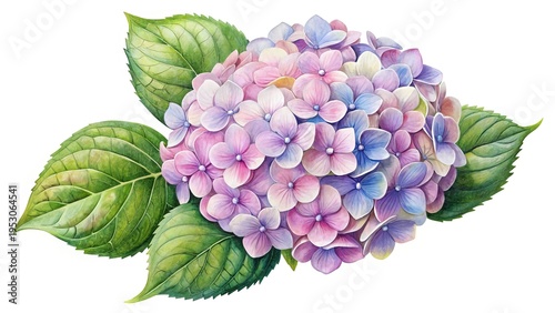 Wallpaper Mural Watercolor Hydrangea Blossom with Leaves, a Blooming Bouquet in Pastel Tones Torontodigital.ca