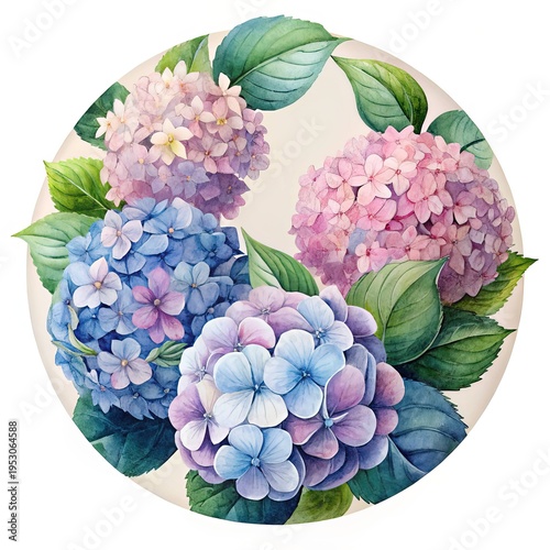 Wallpaper Mural Watercolor Hydrangea Blooms in Blue, Pink, and Purple Tones on White Background Torontodigital.ca