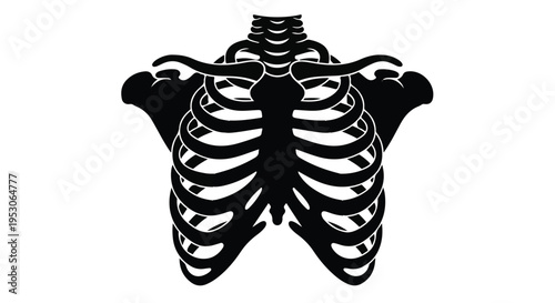 Black ribcage skeleton illustration on white background, human anatomy design element for medical, educational, or creative projects