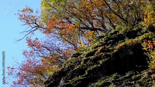 Wallpaper Mural 斜面の春の萌葱色 Torontodigital.ca