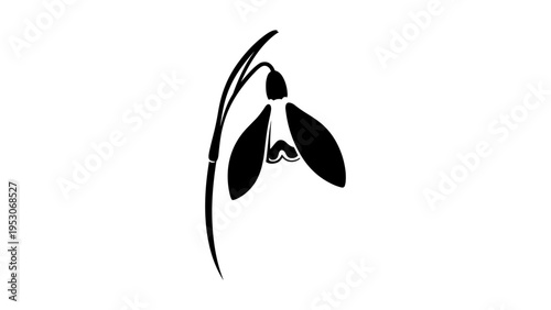 Minimalist silhouette of a snowdrop flower on white background