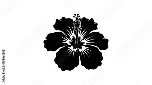 Black silhouette of hibiscus flower with detailed petals and stamen