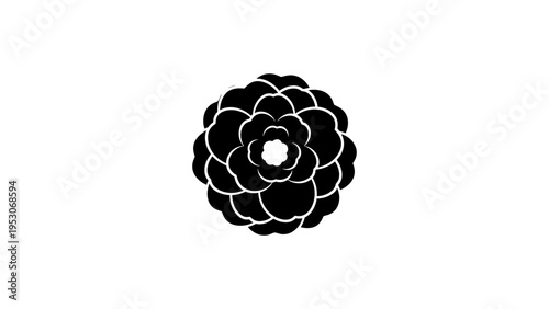 Elegant black silhouette flower blossom on white background