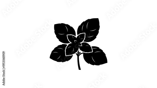 Black silhouette of mint leaf on white background