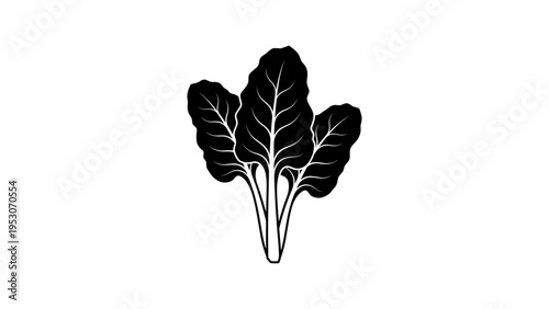 Elegant black and white swiss chard silhouette with detailed leaf veins