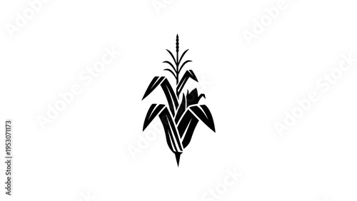 Silhouette of corn plant isolated on white background
