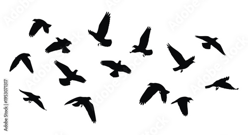 Silhouette of a flock of birds flying together in formation against a white background silhouette
