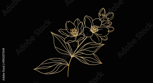 Golden floral outline against Black: An elegant floral illustration, with delicate gold lines, graces a stark black background, showcasing the artistry of natural design. 