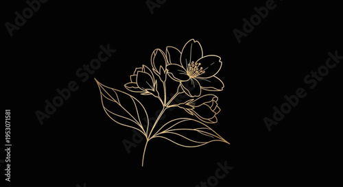 Golden Blossom on Black: A refined gold illustration of a flowering plant, highlighting its delicate petals and leaves, standing against the backdrop of black