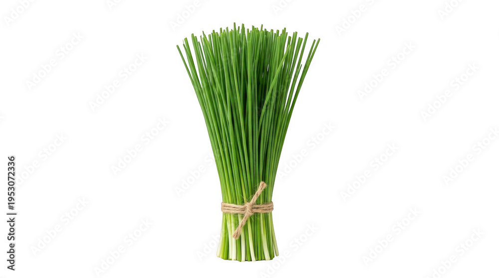 Obraz premium A neat bundle of vibrant green fresh chives tied with natural rustic twine isolated on a clean black background in a studio setting with bright lighti